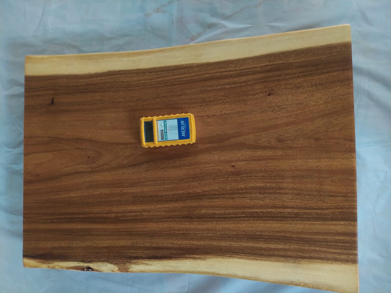 Suar Wood Countertop | 0003-565455 | 31.5″ Live Edge Solid Wood Slab