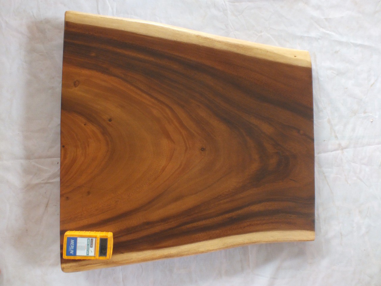 Suar Wood Countertop | 0019-706660 | 31.5″ Live Edge Solid Wood Slab