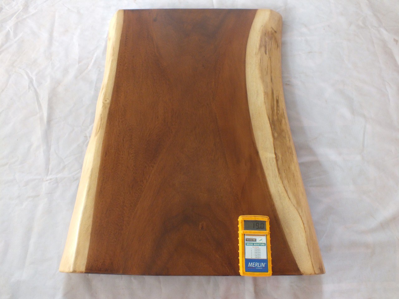 Suar Wood Countertop | 0022-554752 | 31.5″ Live Edge Solid Wood Slab