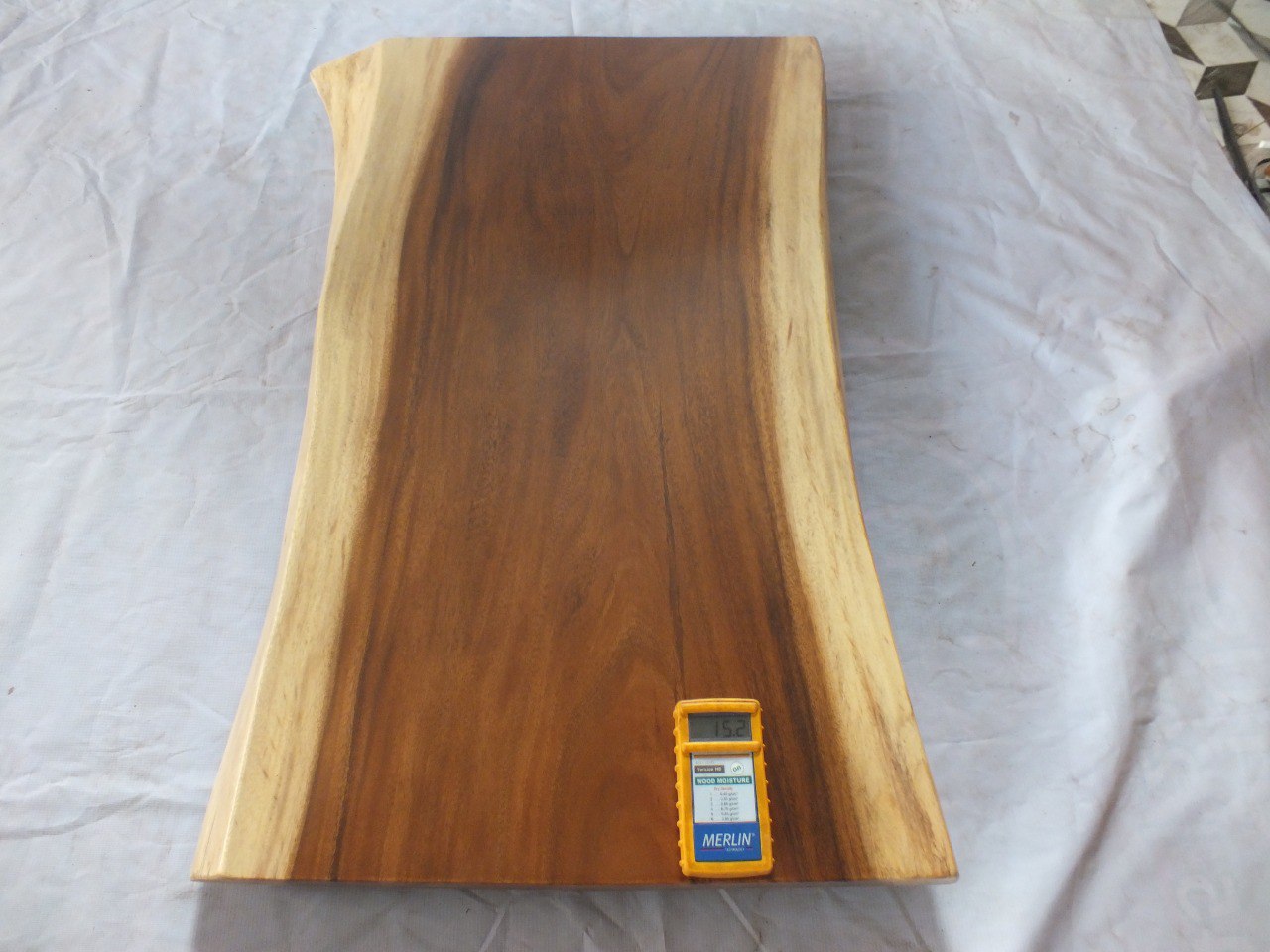 Suar Wood Countertop | 0006-565457 | 31.5″ Live Edge Solid Wood Slab