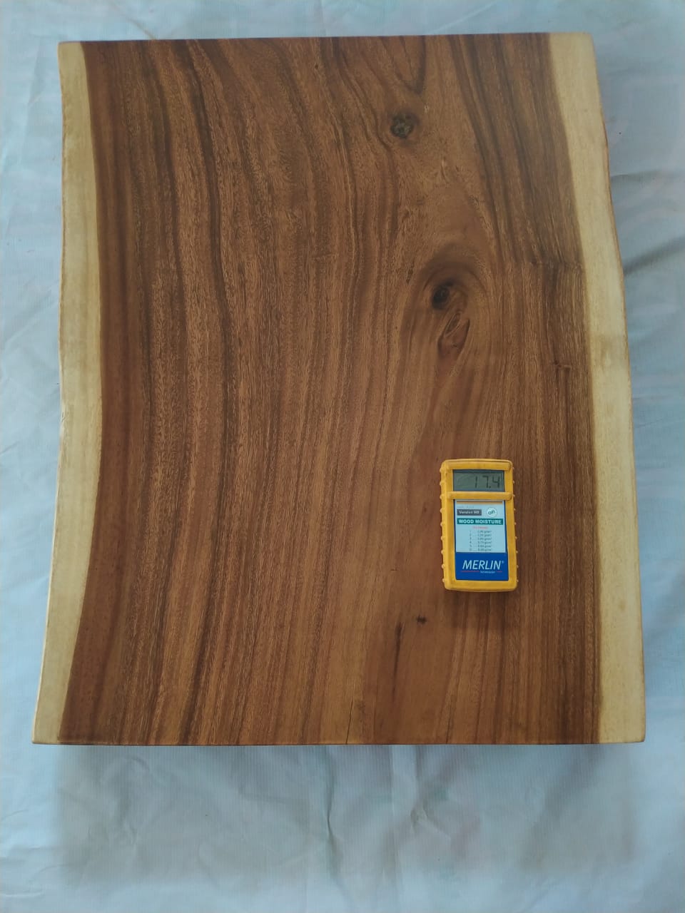 Suar Wood Countertop | 0012-586169 | 31.5″ Live Edge Solid Wood Slab