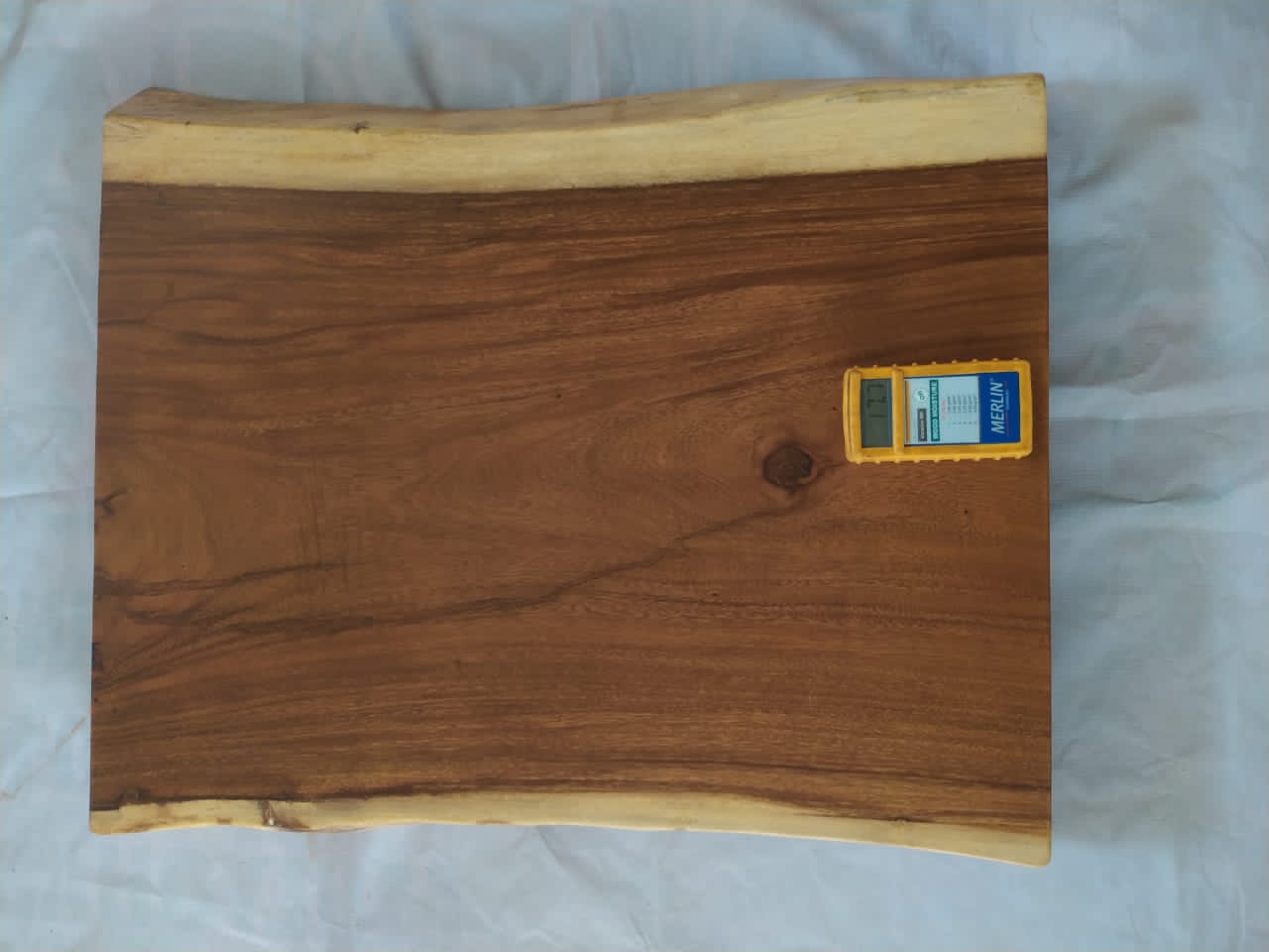 Suar Wood Countertop | 0013-575662 | 31.5″ Live Edge Solid Wood Slab