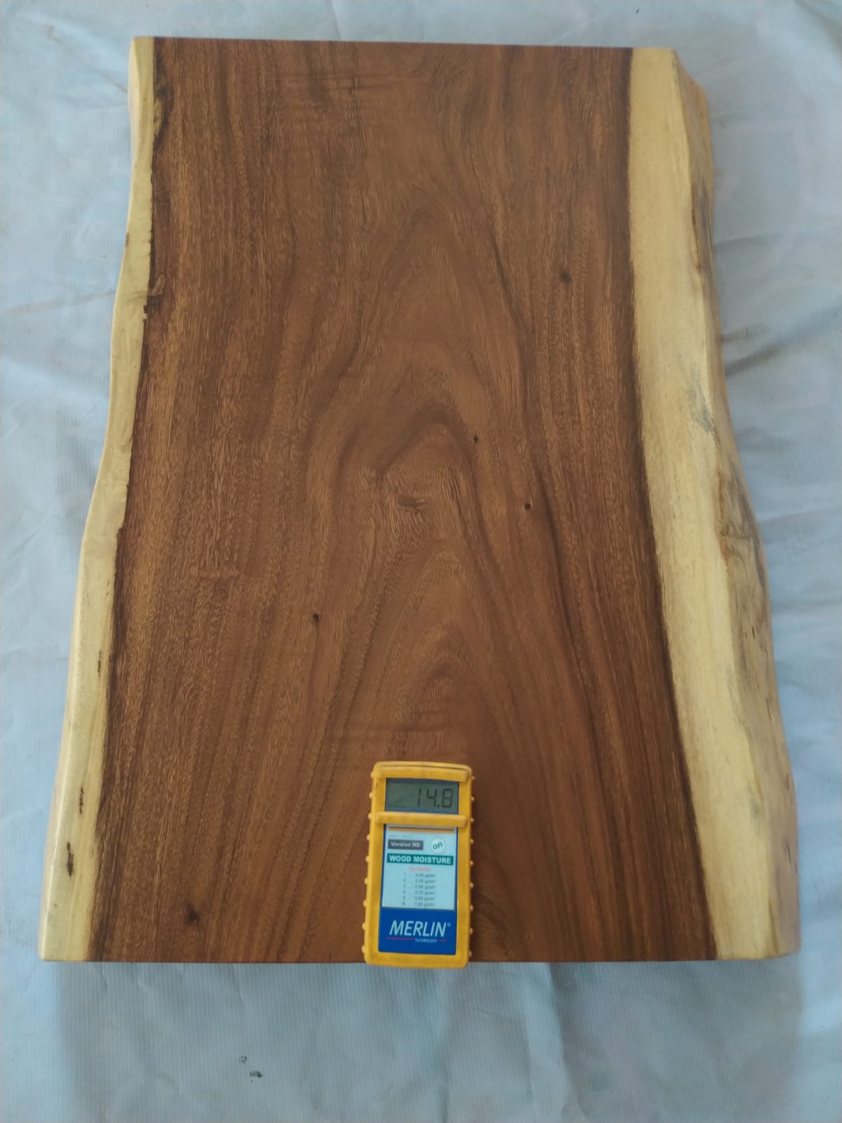 Suar Wood Countertop | 0014-505051 | 31.5″ Live Edge Solid Wood Slab