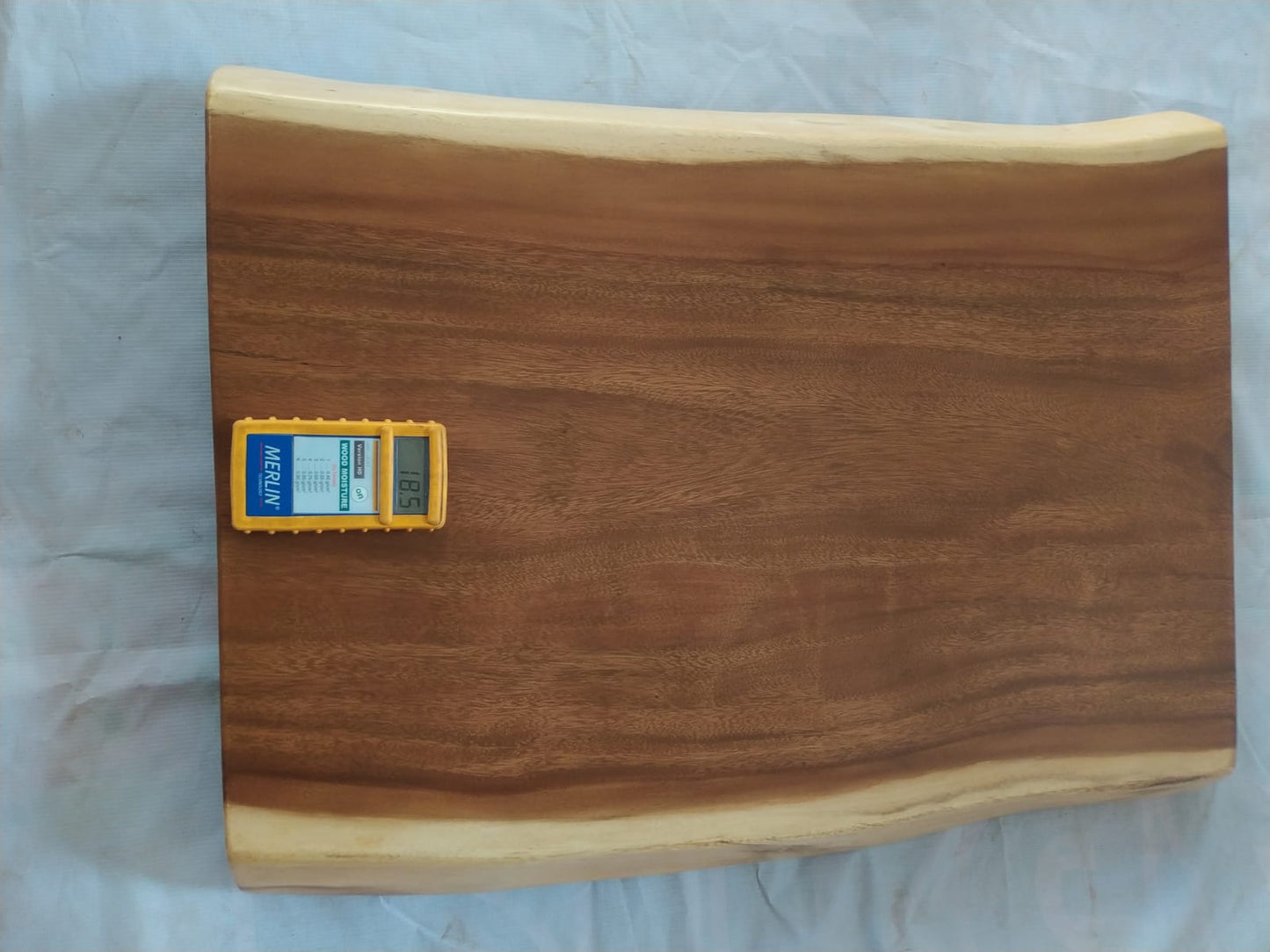 Suar Wood Countertop | 0015-505253 | 31.5″ Live Edge Solid Wood Slab