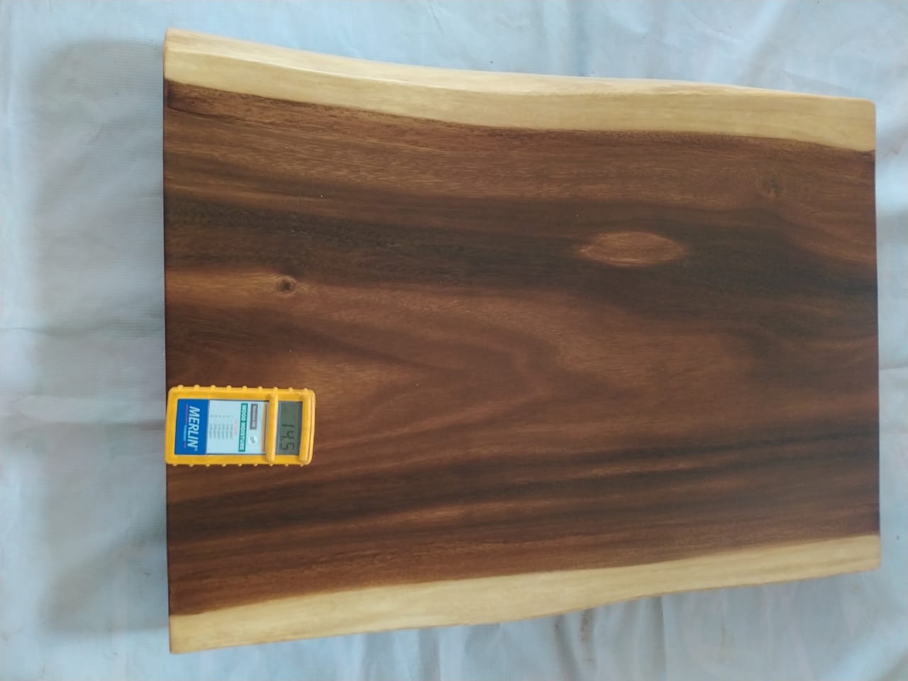 Suar Wood Countertop | 0017-565657 | 31.5″ Live Edge Solid Wood Slab