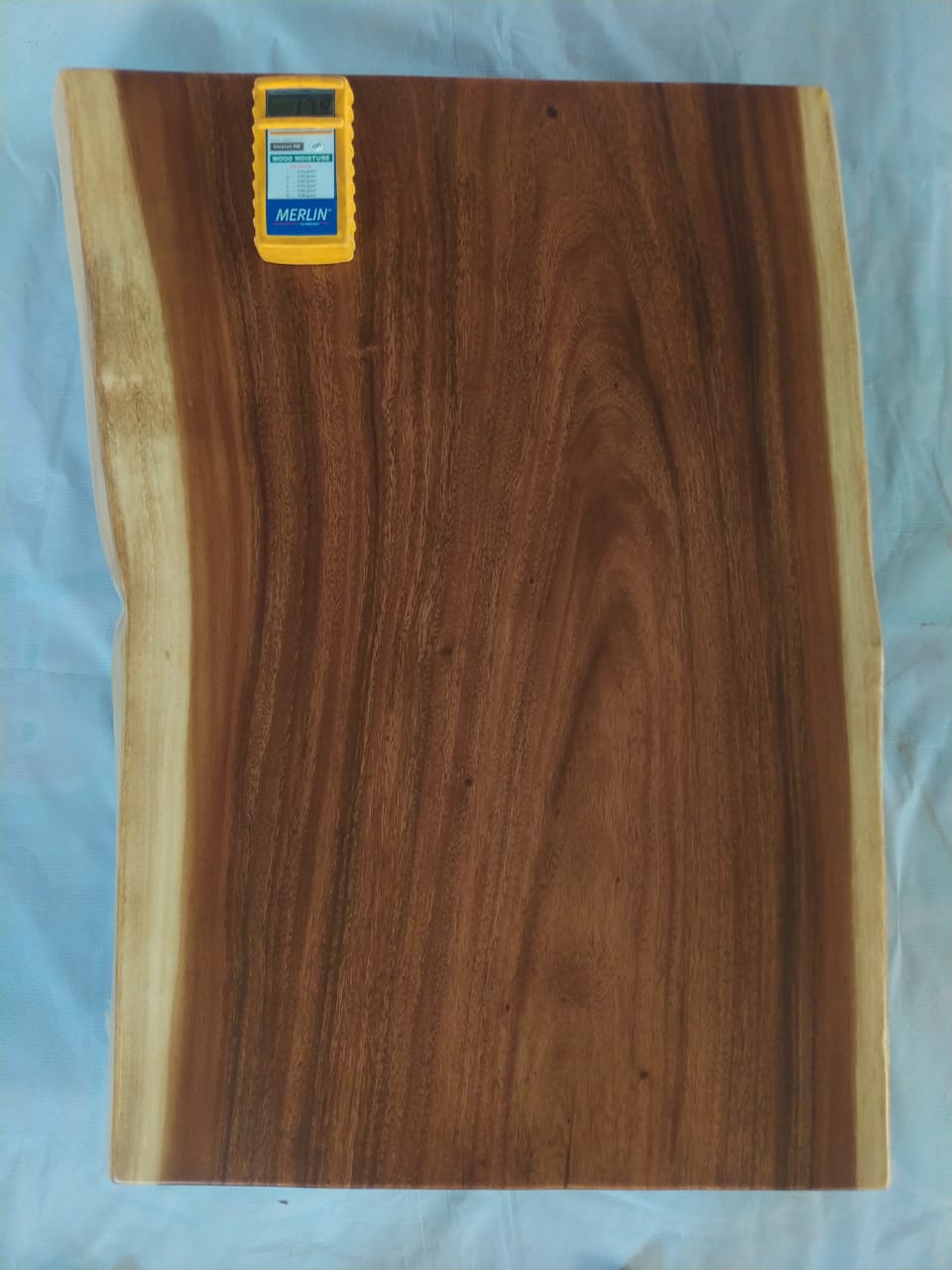 Suar Wood Countertop | 0004-555557 | 31.5″ Live Edge Solid Wood Slab
