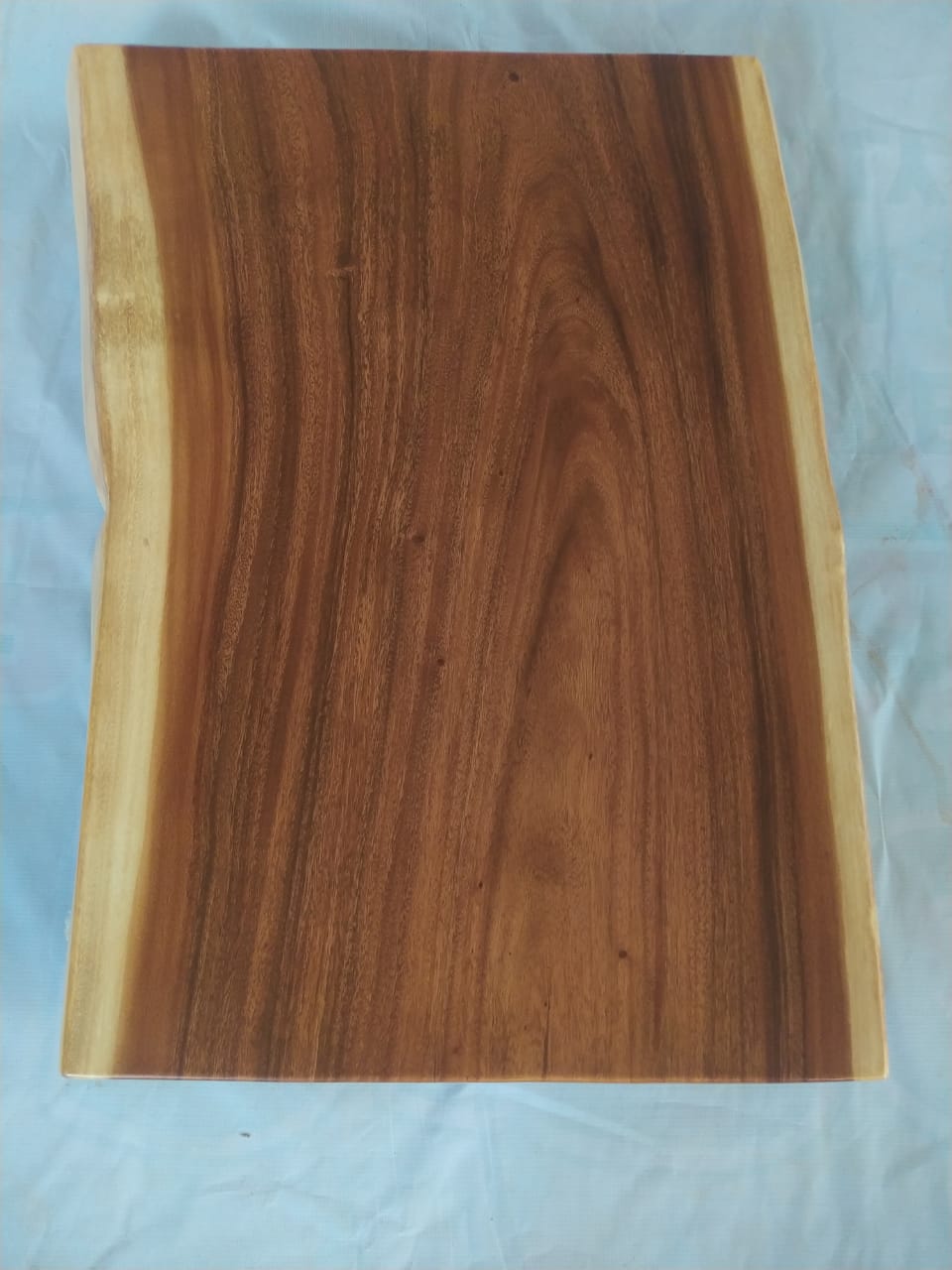 Suar Wood Countertop | 0004-555557 | 31.5″ Live Edge Solid Wood Slab