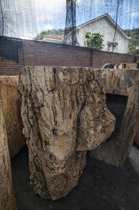 Petrified Wood Pedestal | PW-8056 | 31.5″ × 22.0″ × 36.2″