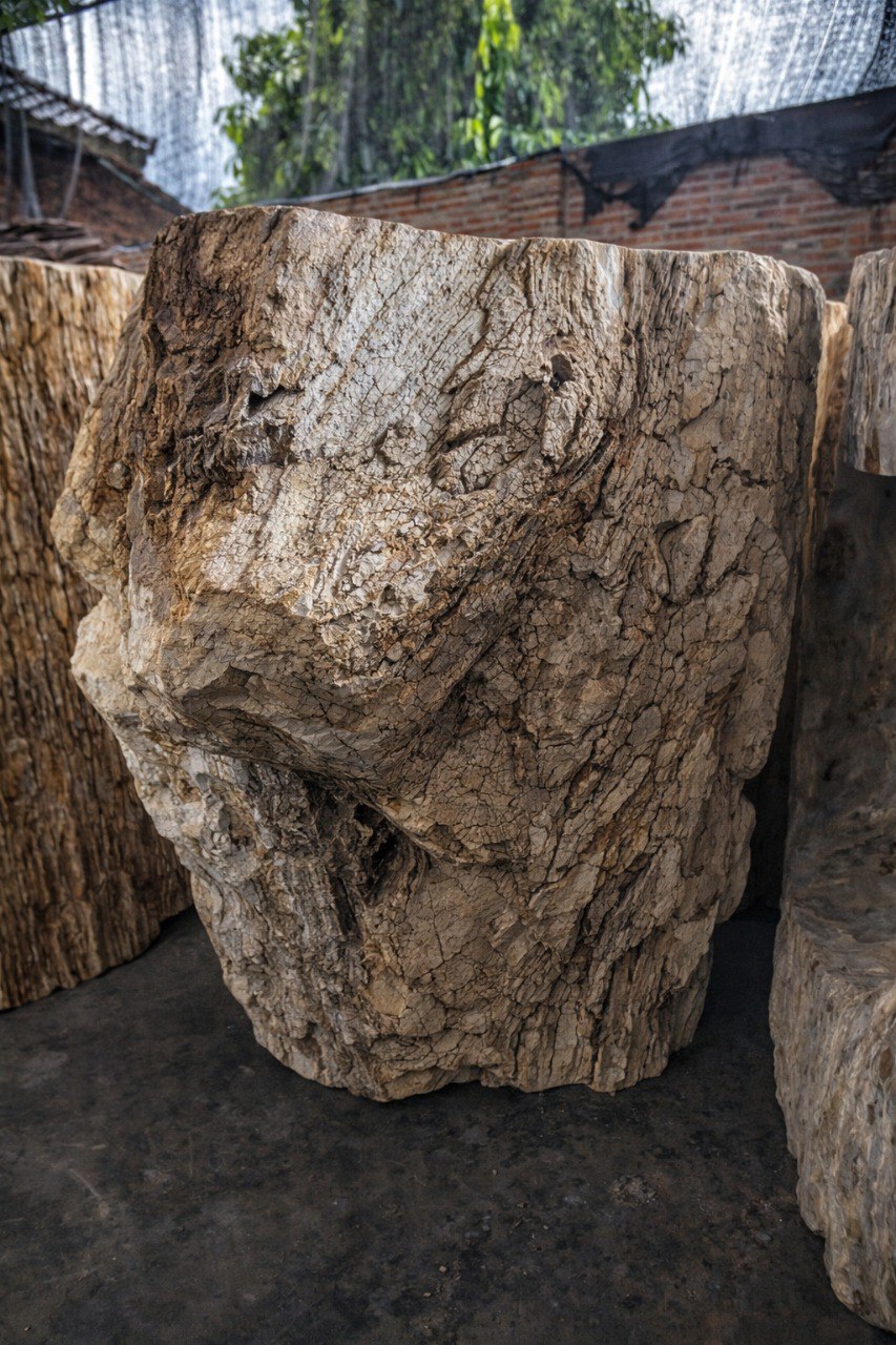 Petrified Wood Pedestal | PW-8056 | 31.5″ × 22.0″ × 36.2″