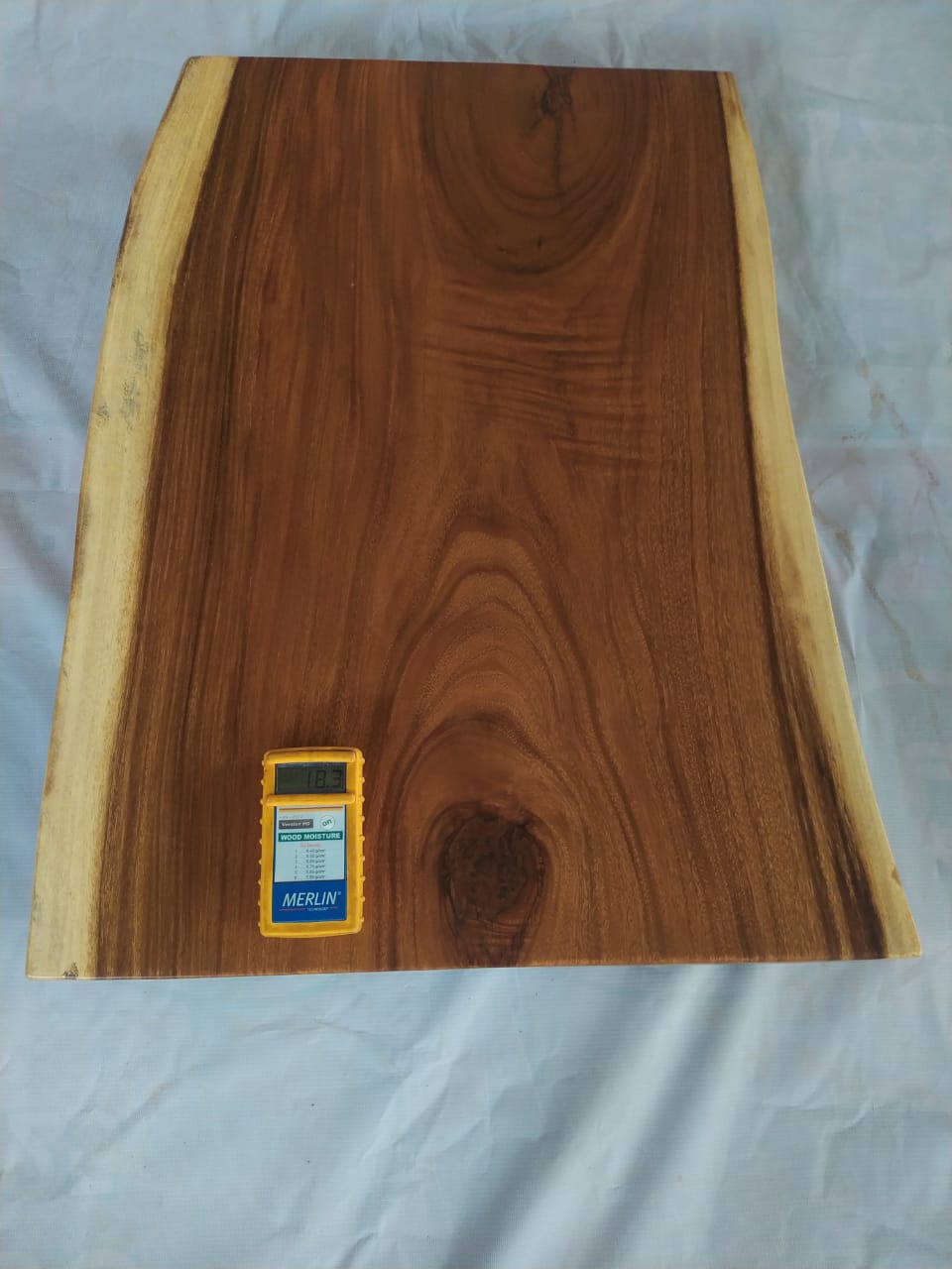 Suar Wood Countertop | 0001-555962 | 31.5″ Live Edge Solid Wood Slab
