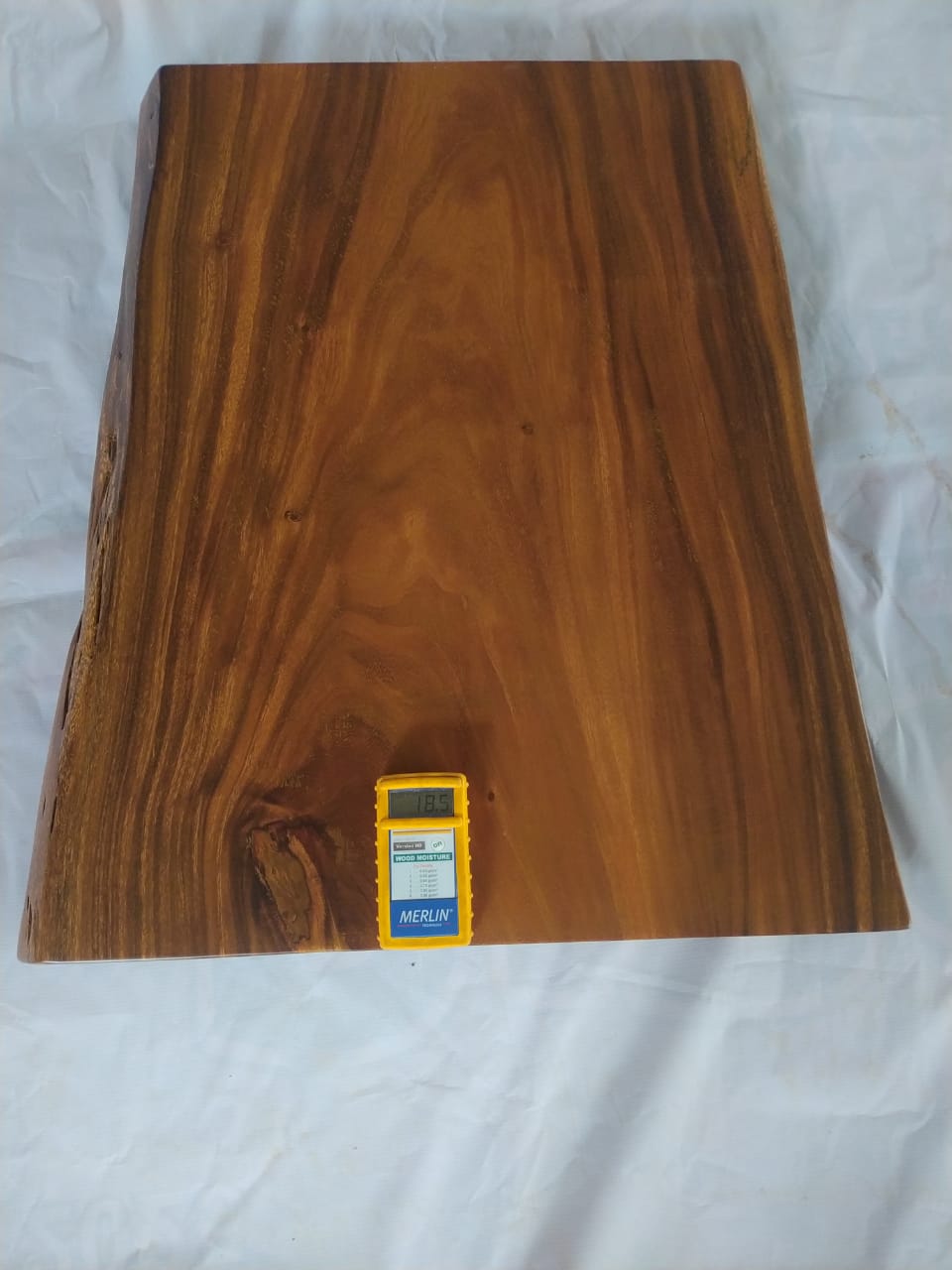 Suar Wood Countertop | 0002-576065 | 31.5″ Live Edge Solid Wood Slab