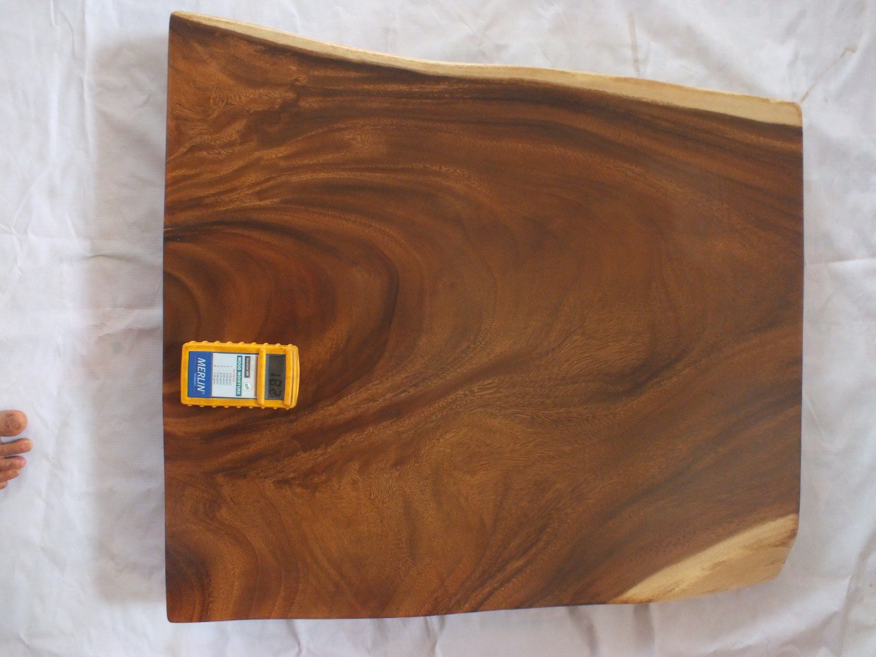 Suar Wood Countertop | 0008-706560 | 31.5″ Live Edge Solid Wood Slab