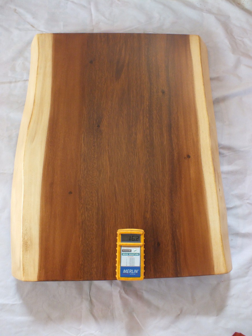 Suar Wood Countertop | 0009-545555 | 31.5″ Live Edge Solid Wood Slab