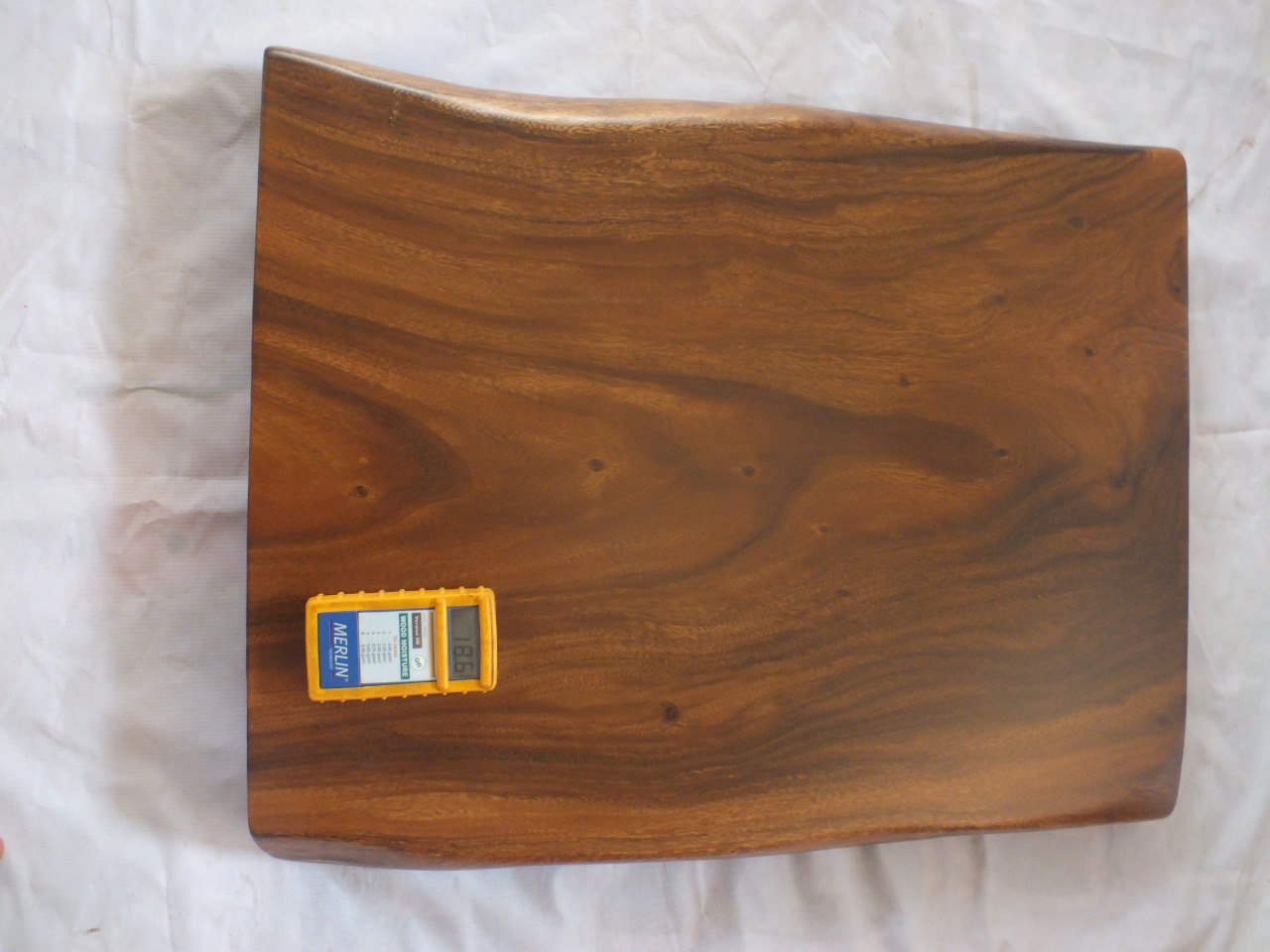Suar Wood Countertop | 0010-555858 | 31.5″ Live Edge Solid Wood Slab