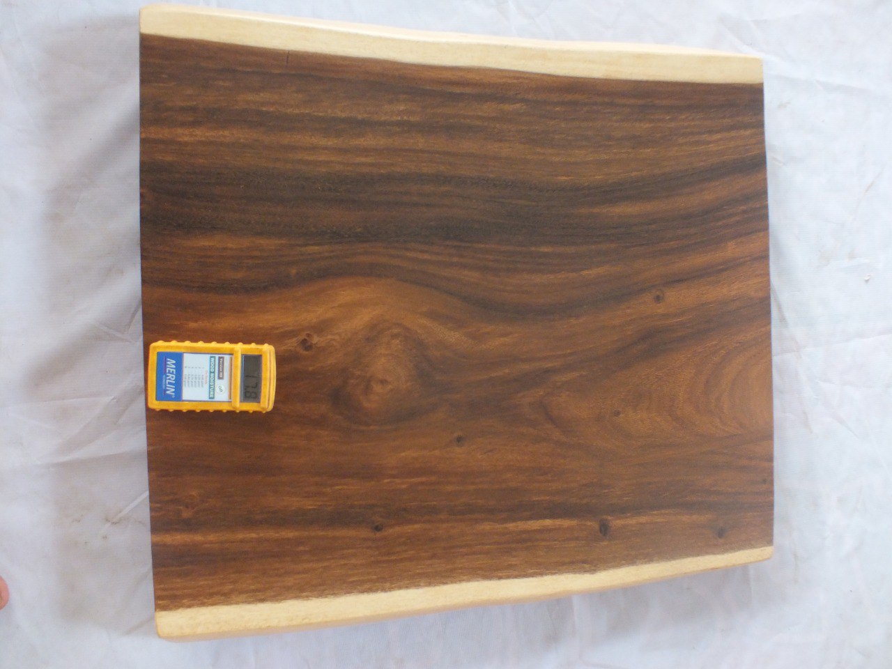 Suar Wood Countertop | 0020-676668 | 31.5″ Live Edge Solid Wood Slab