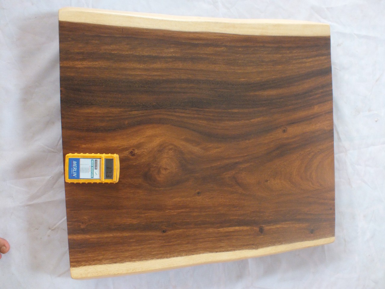 Suar Wood Countertop | 0020-676668 | 31.5″ Live Edge Solid Wood Slab