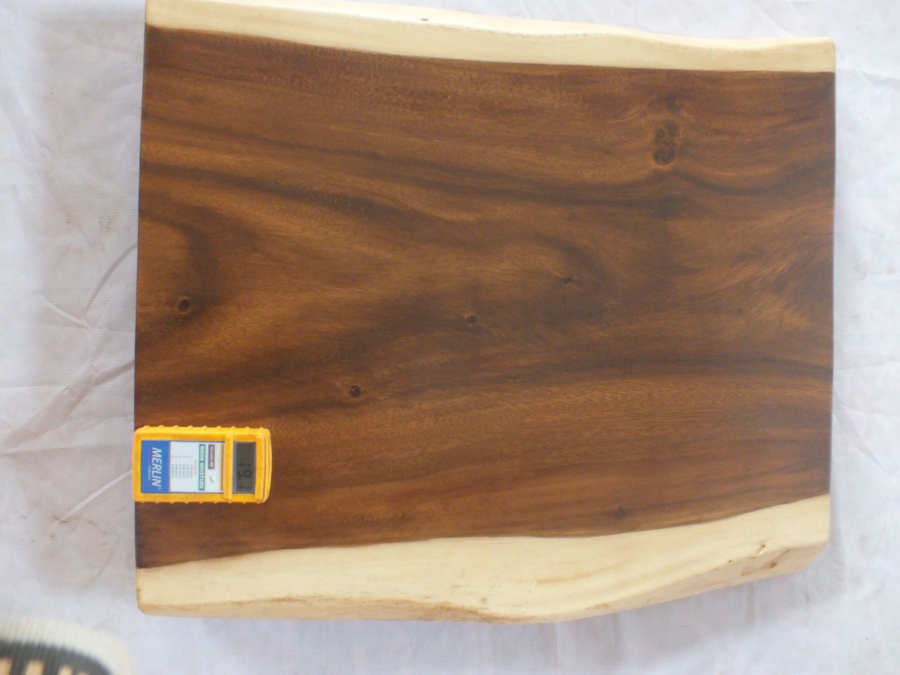 Suar Wood Countertop | 0021-606361 | 31.5″ Live Edge Solid Wood Slab