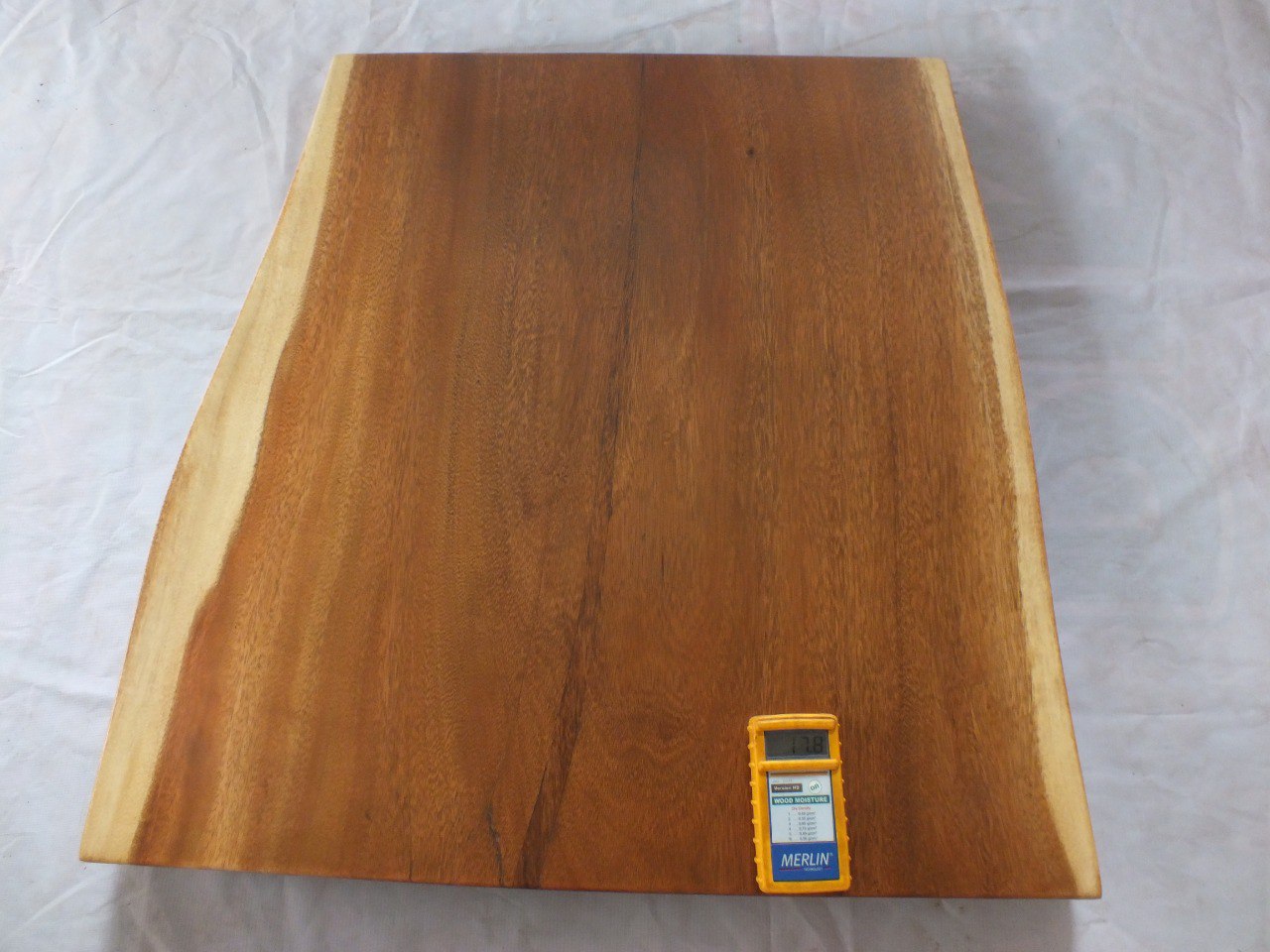 Suar Wood Countertop | 0024-807769 | 31.5″ Live Edge Solid Wood Slab