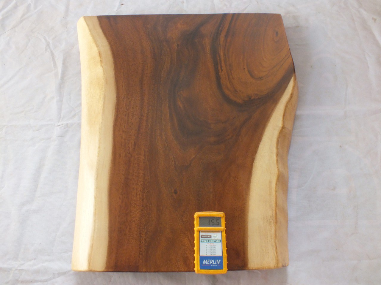 Suar Wood Countertop | 0028-455566 | 31.5″ Live Edge Solid Wood Slab