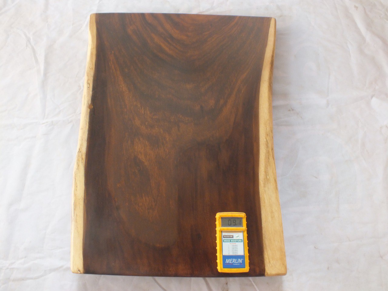 Suar Wood Countertop | 0029-485463 | 31.5″ Live Edge Solid Wood Slab