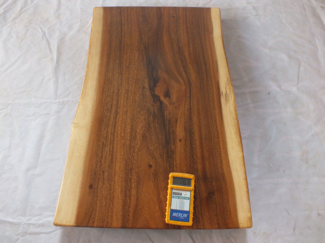 Suar Wood Countertop | 0030-535152 | 31.5″ Live Edge Solid Wood Slab