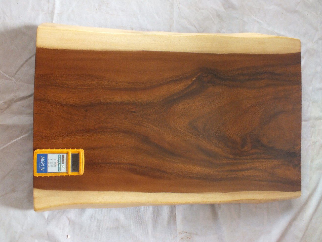 Suar Wood Countertop | 0003-505765 | 31.5″ Live Edge Solid Wood Slab