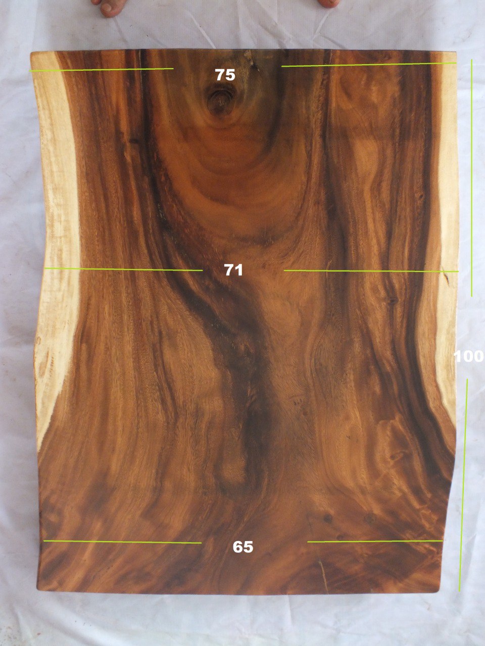 Suar Wood Countertop | 0004-657175 | 31.5″ Live Edge Solid Wood Slab