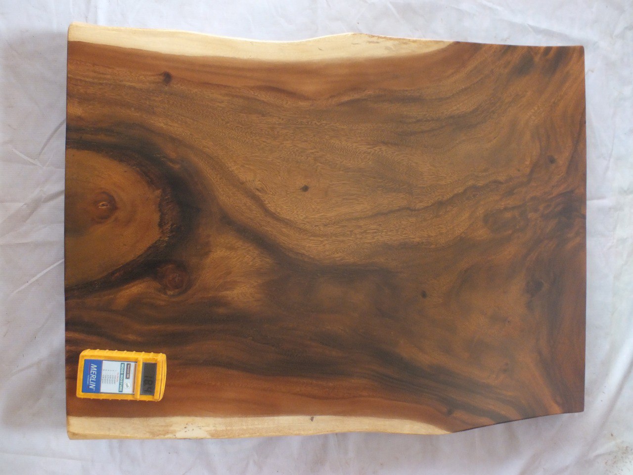 Suar Wood Countertop | 0004-657175 | 31.5″ Live Edge Solid Wood Slab