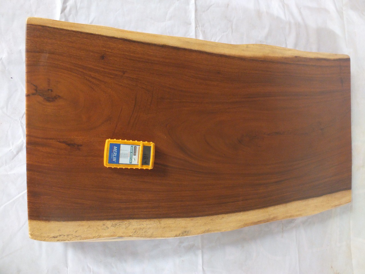 Suar Wood Countertop | 0002-556063 | 47″ Live Edge Solid Wood Slab