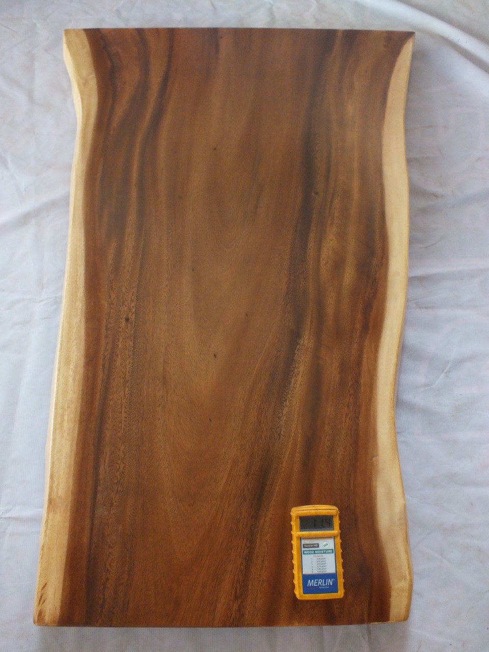 Suar Wood Countertop | 0003-556274 | 47″ Live Edge Solid Wood Slab