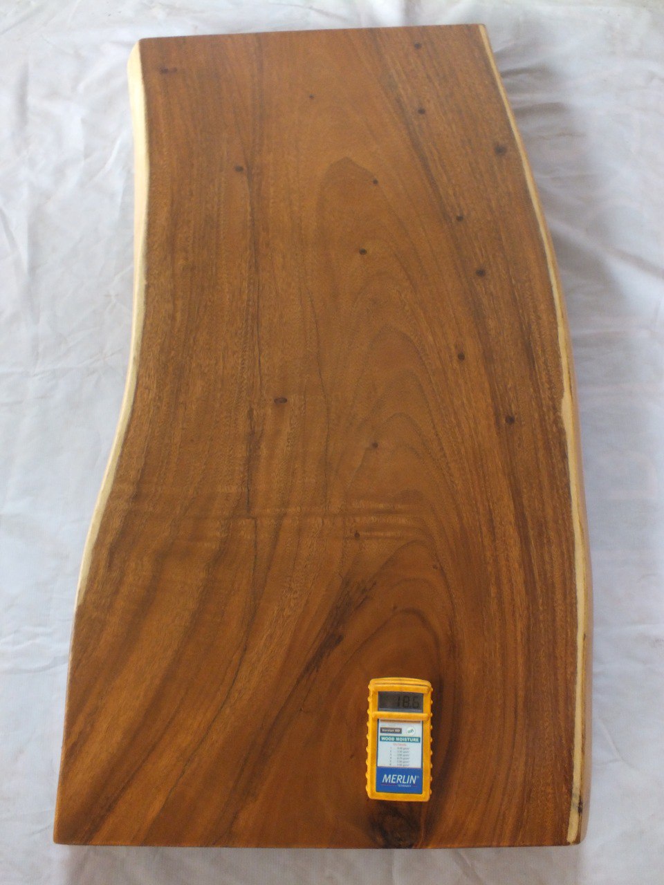 Suar Wood Countertop | 0006-605957 | 47″ Live Edge Solid Wood Slab