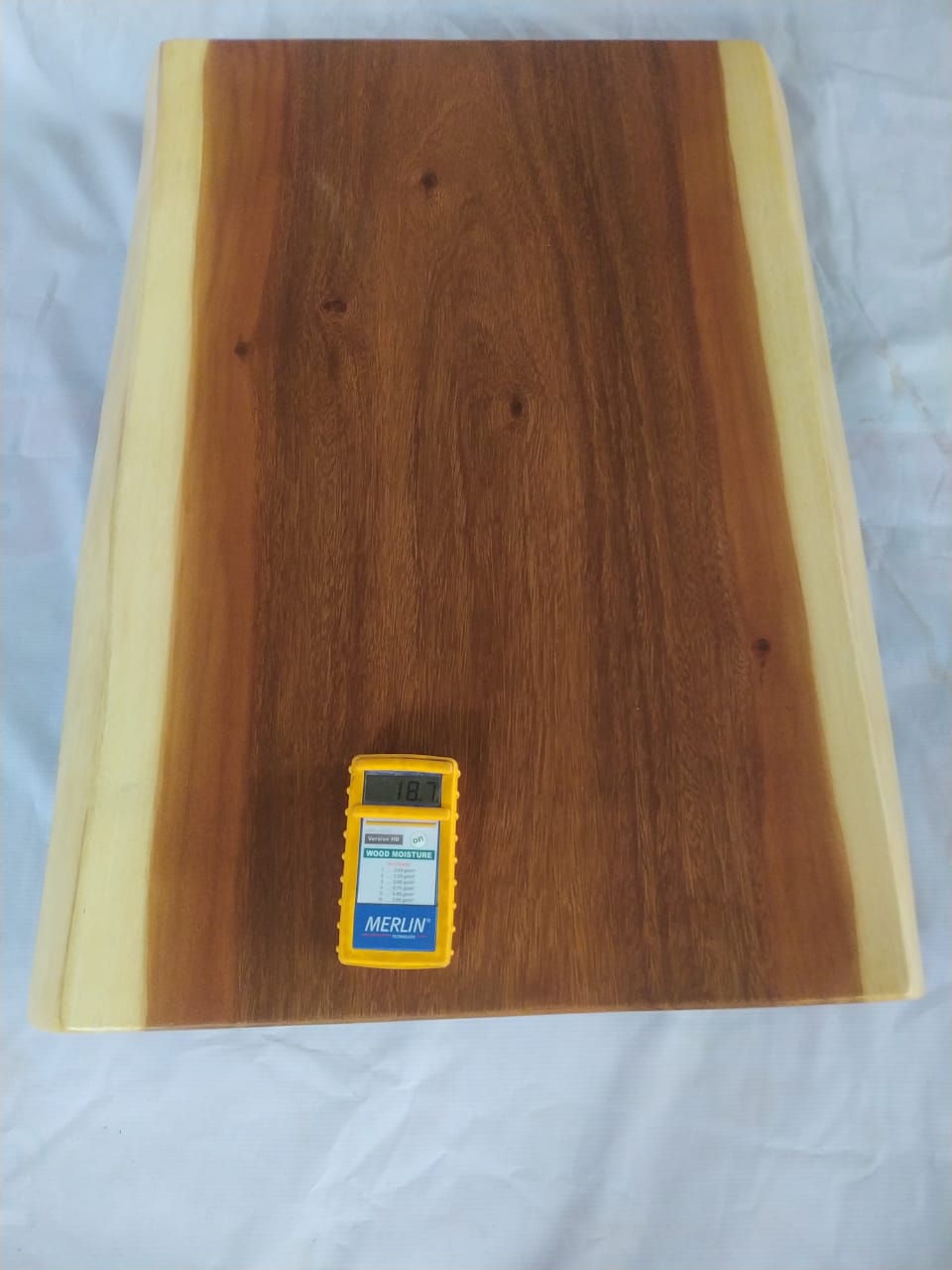 Suar Wood Countertop | 0005-535352 | 31.5″ Live Edge Solid Wood Slab