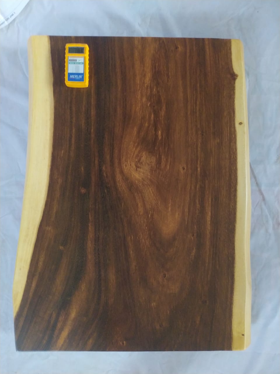 Suar Wood Countertop | 0006-747168 | 31.5″ Live Edge Solid Wood Slab